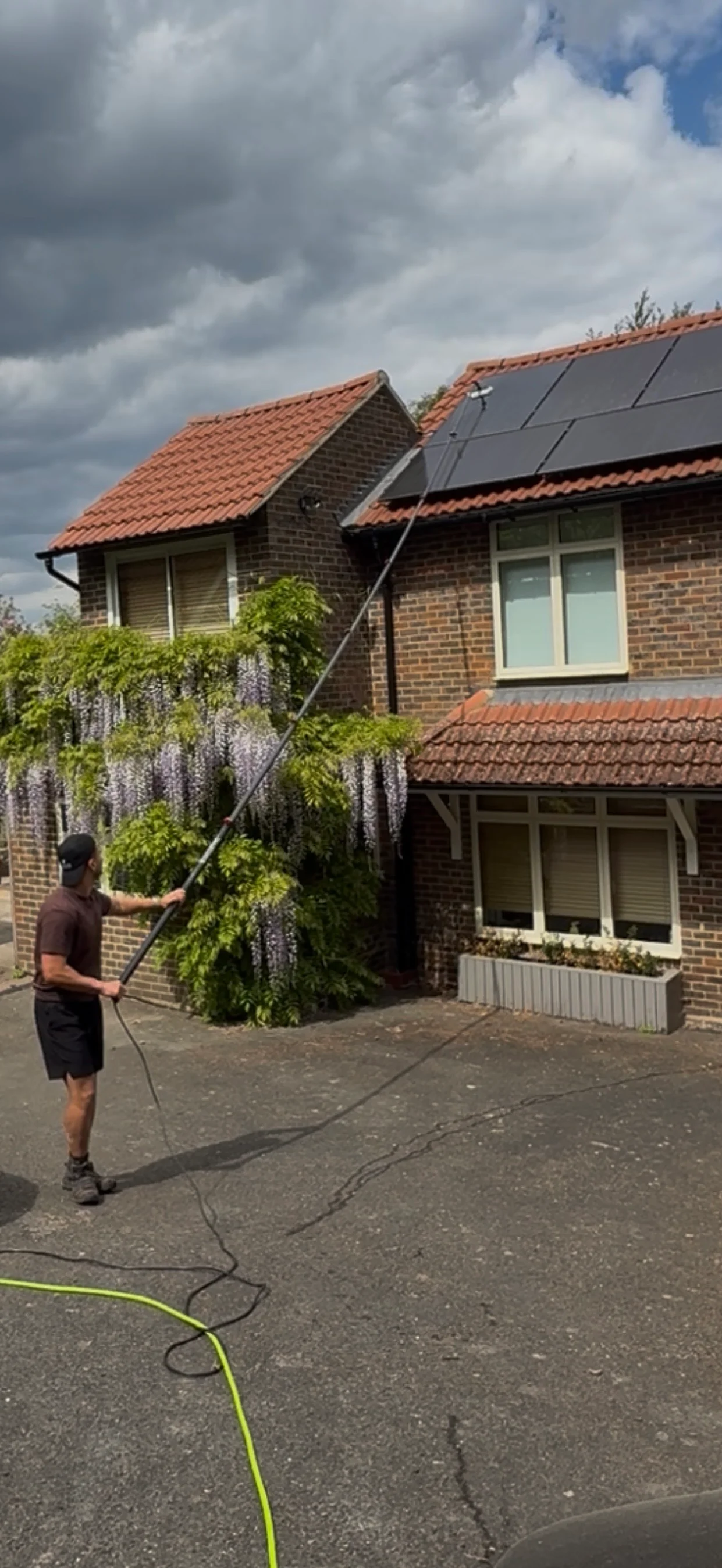 Solar panels on a brick house with wisteria being cleaned with a water-fed pole